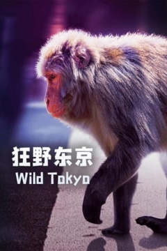 ველური ტოკიო ქართულად - Wild Tokyo