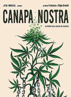 ჩვენი კანაფი ქართულად - Canapa nostra