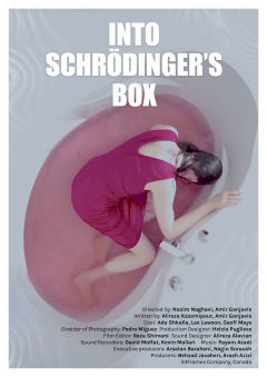 Into Schrodingers Box