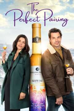 იდეალური შეწყვილება ქართულად - The Perfect Pairing