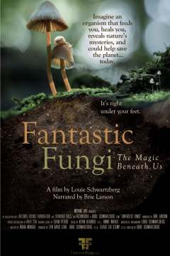 ფანტასტიური სოკო ქართულად - Fantastic Fungi