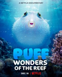 ფაფი: რიფის საოცრება ქართულად - Puff: Wonders of