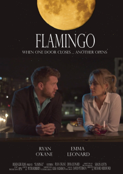 ფლამინგო ქართულად - Flamingo