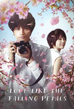 Love Like the Falling Petals ქართულად - Моя