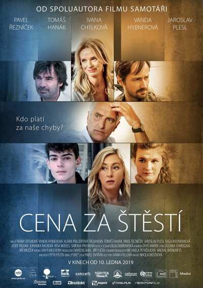 ბედნიერების ფასი ქართულად - The Price of Happiness