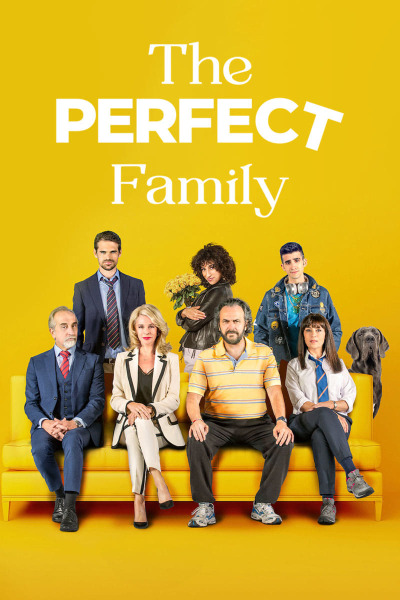 იდეალური ოჯახი ქართულად - The Perfect Family
