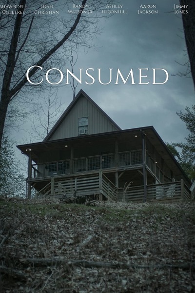 განადგურებული ქართულად - Consumed