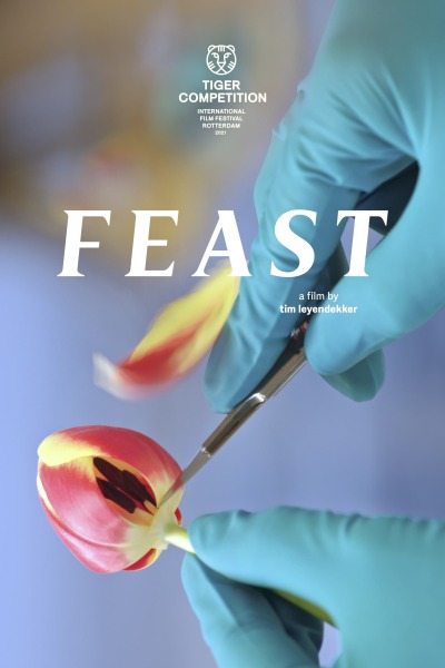 დღესასწაული ქართულად - Feast