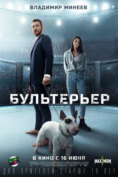 Bullterrier ქართულად - Бультерьер