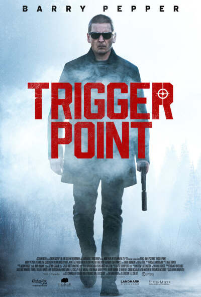 გამომწვევი მიზეზი ქართულად - Trigger Point