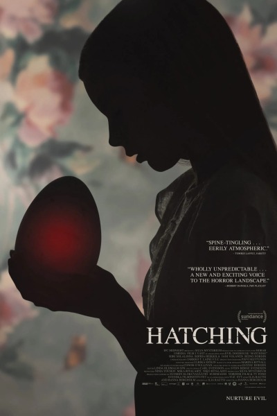 გამოჩეკა ქართულად - Hatching