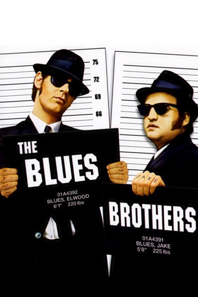 ძმები ბლუზები ქართულად - The Blues Brothers