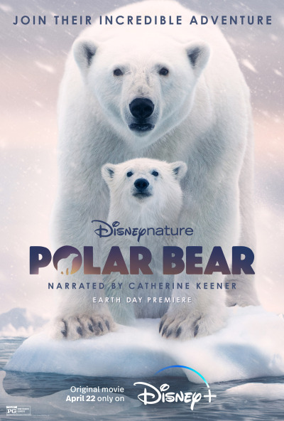 Პოლარული დათვი ქართულად - Polar Bear