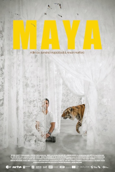 Maya ქართულად - Тигрица Майя