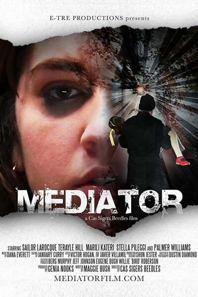 მედიატორი ქართულად - Mediator
