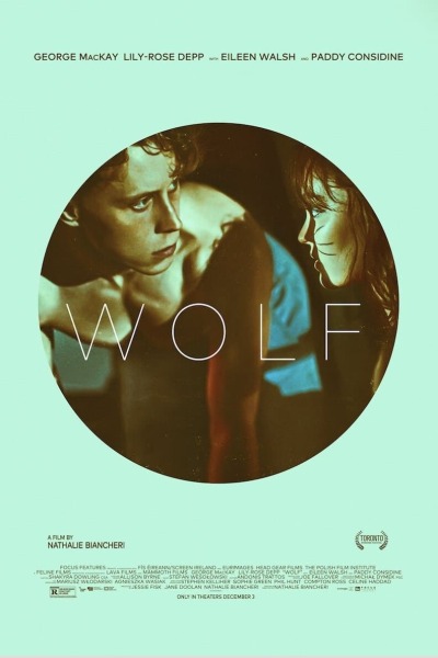 მგელი ქართულად - Wolf