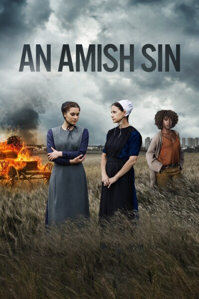 ამიშების ცოდვა ქართულად - An Amish Sin