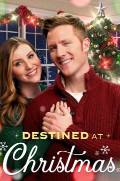 Destined at Christmas