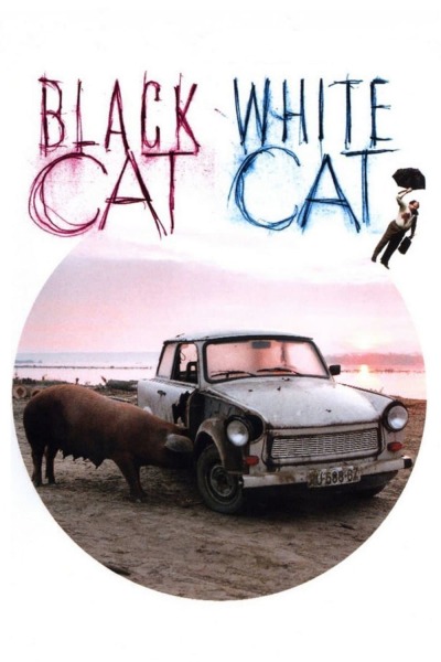 შავი კატა, თეთრი კატა ქართულად - Black Cat, White