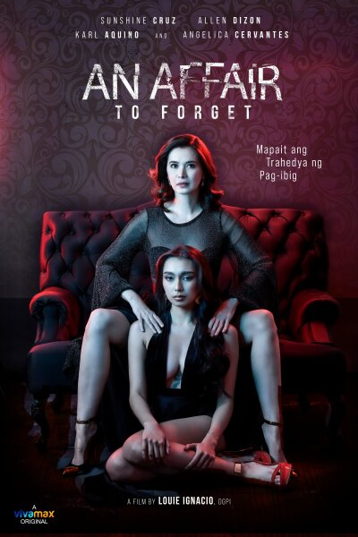 დასავიწყებელი რომანი ქართულად - An Affair to