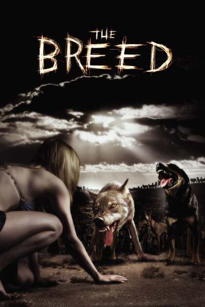 ხროვა ქართულად - The Breed