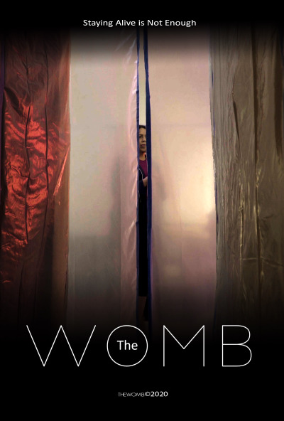 შეუღწეველი ქართულად - The Womb