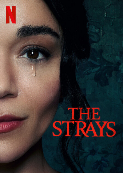 მაწანწალები ქართულად - The Strays