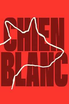 თეთრი ძაღლი ქართულად - Chien Blanc