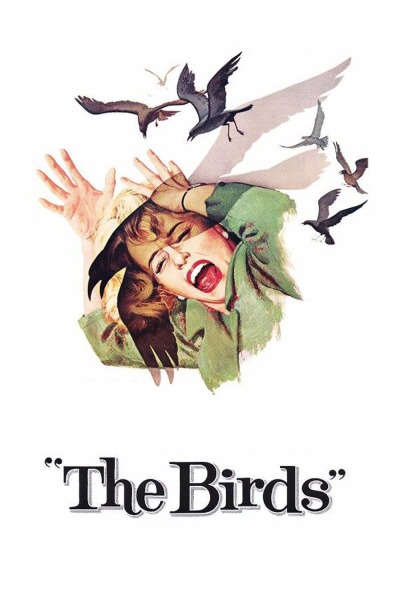 ჩიტები ქართულად - The Birds