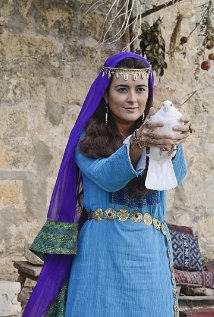 მშვიდობის დამცველნი ქართულად - The Dovekeepers