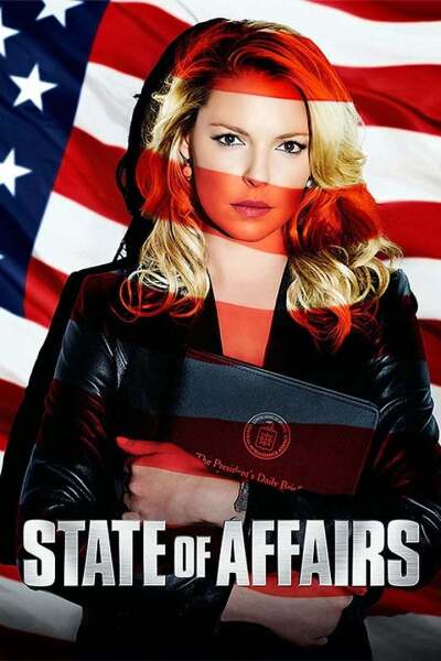 საქმის ვითარება ქართულად - State of Affairs