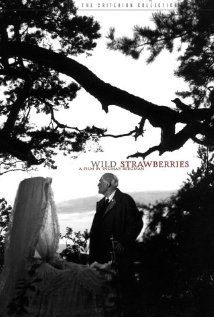 მარწყვის მდელო ქართულად - Wild Strawberries