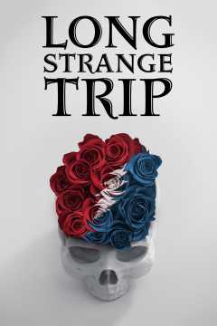 გრძელი უცნაური მოგზაურობა ქართულად - Long Strange