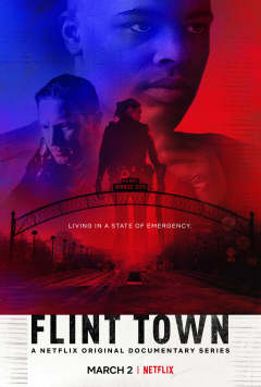 ქალაქი ფლინტი ქართულად - Flint Town