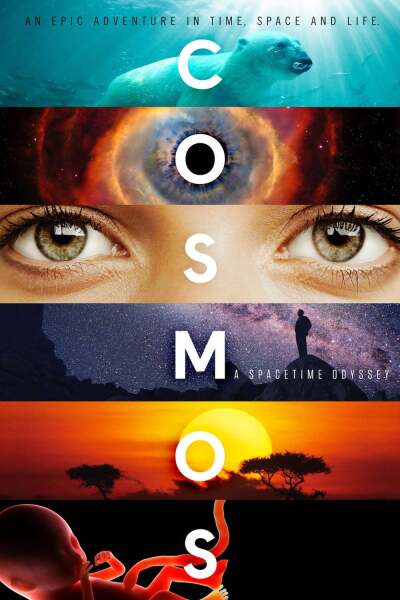 კოსმოსი: სივრცე და დრო ქართულად - Cosmos: A