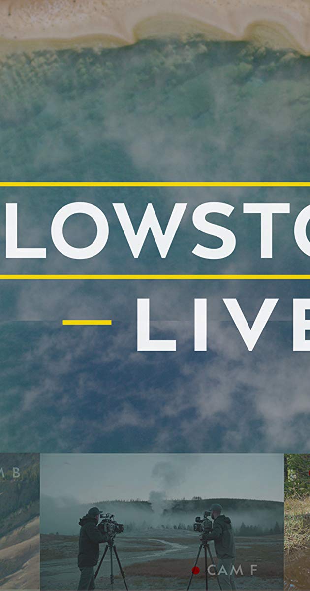 Yellowstone LIVE