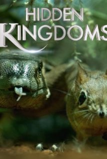 დამალული სამყაროები ქართულად - Hidden Kingdoms