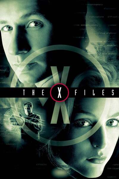 საიდუმლო მასალები ქართულად - The X-Files