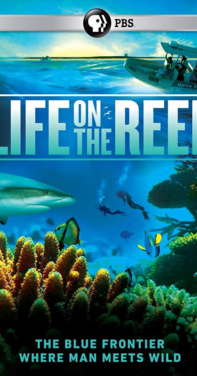ცხოვრება რიფებზე ქართულად - Life on the Reef