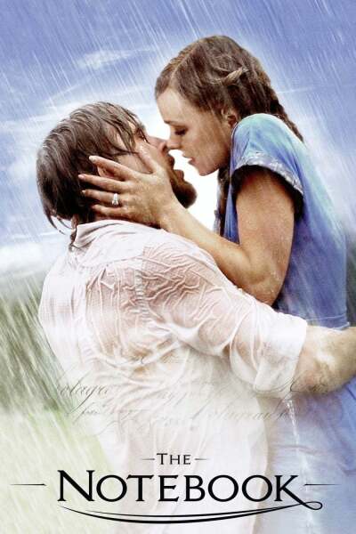 უბის წიგნაკი ქართულად - The Notebook