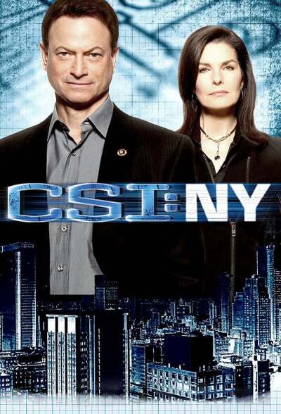 დანაშაულის ადგილი: ნიუ იორკი ქართულად - CSI: NY