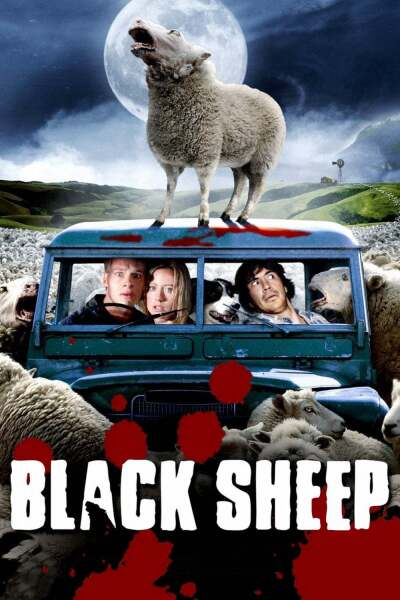 შავი ცხვარი ქართულად - Black Sheep