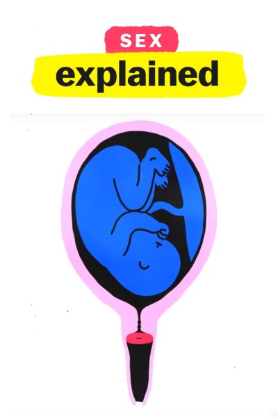 Sex, Explained ქართულად - Чтобы вы поняли... секс