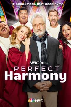 იდეალური ჰარმონია ქართულად - Perfect Harmony