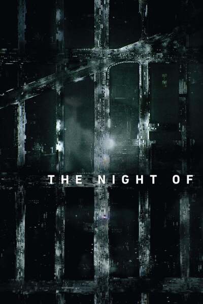 ერთ ღამეს ქართულად - The Night Of