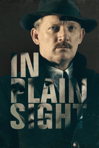 ხილვადობის ფარგლებში ქართულად - In Plain Sight