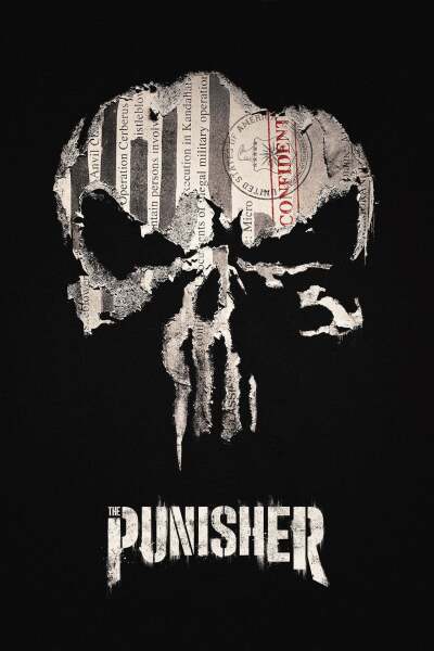 დამსჯელი ქართულად - The Punisher