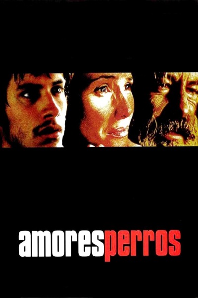 სიყვარული ბოროტია ქართულად - Amores Perros
