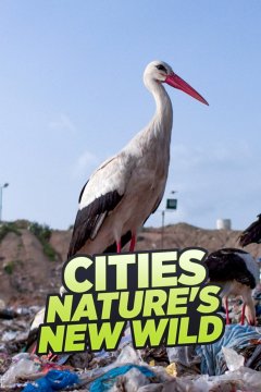 Cities: Natures New Wild