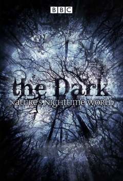The Dark: Natures Nighttime World